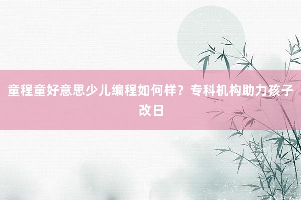 童程童好意思少儿编程如何样？专科机构助力孩子改日