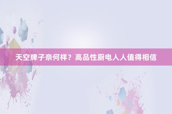 天空牌子奈何样？高品性厨电人人值得相信