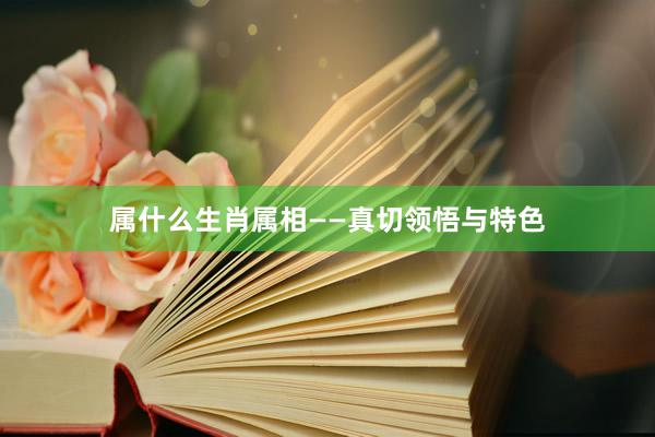 属什么生肖属相——真切领悟与特色