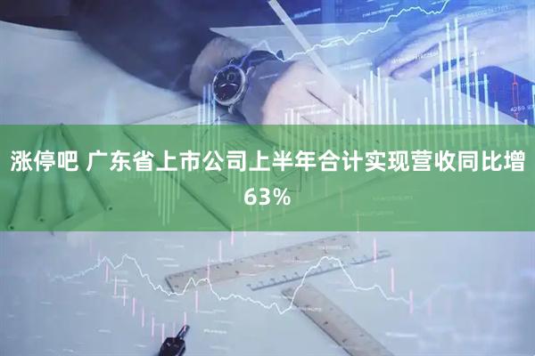 涨停吧 广东省上市公司上半年合计实现营收同比增63%