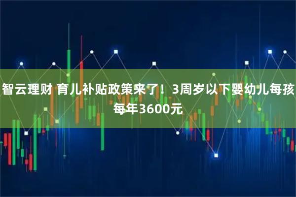智云理财 育儿补贴政策来了！3周岁以下婴幼儿每孩每年3600元